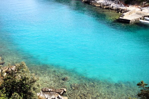 Basina - photo 30