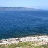 Basina - photo 31