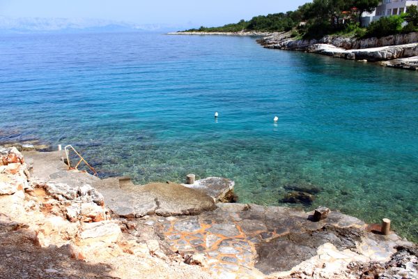 Basina - photo 16