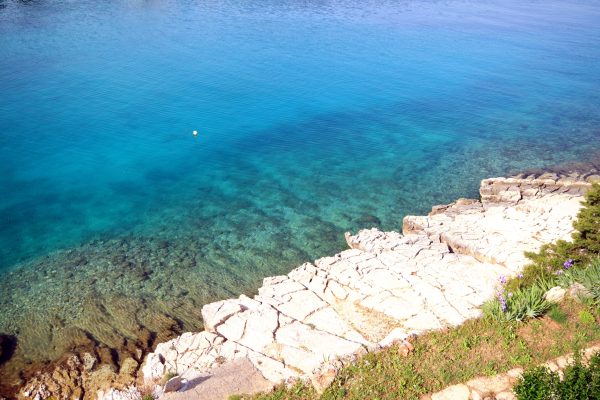 Basina - photo 17