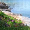 Basina - photo 18