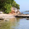 Basina - photo 19