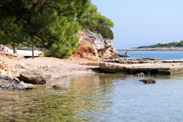 Basina - photo 19