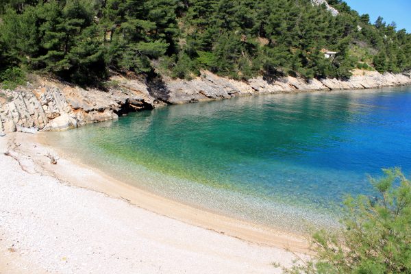 Divja - photo 5