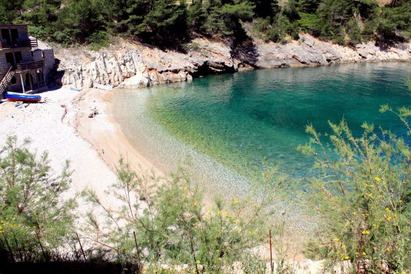 Divja - photo 8