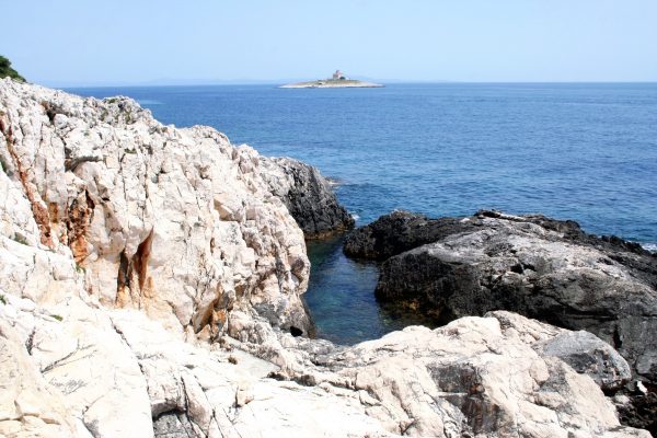 Bonj - photo 15