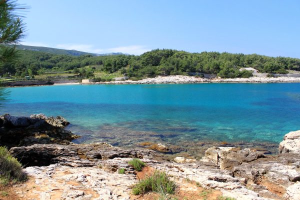 Jelsa - photo 43