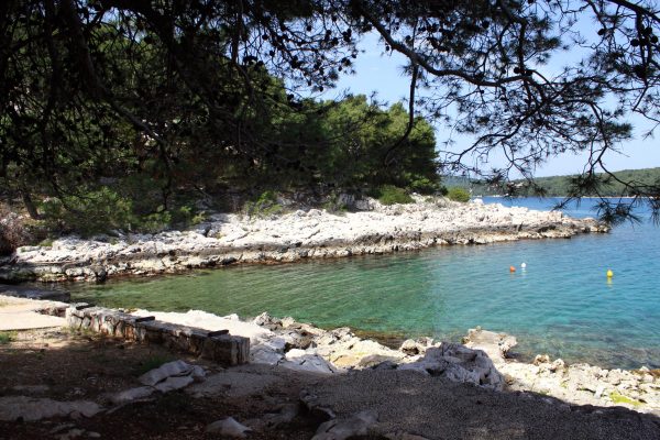 Jelsa - photo 45