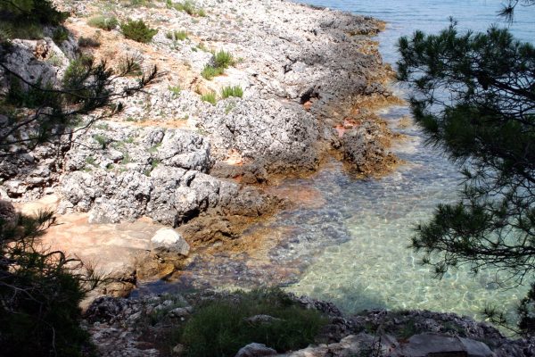 Jelsa - photo 46