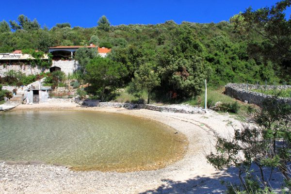 Karkavac – Šćedro - photo 14