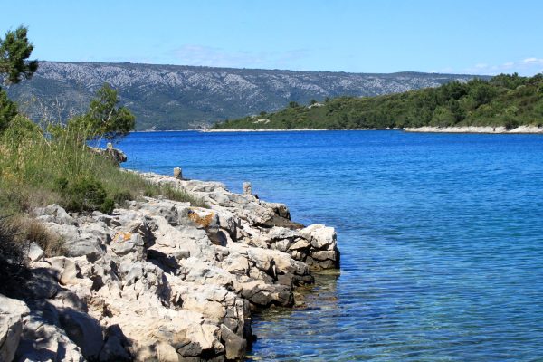 Karkavac – Šćedro - photo 16