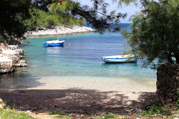 Lozna - photo 9