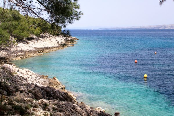 Lozna - photo 10