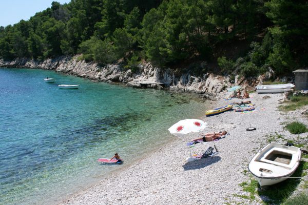 Lučica - photo 12