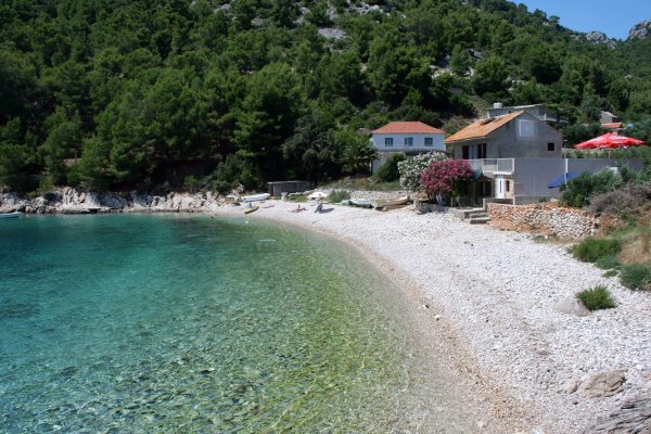 Lučica - photo 17