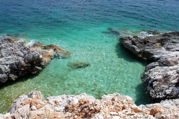 Milna - photo 20