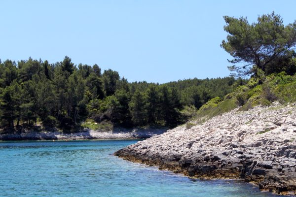 Mostir – Šćedro - photo 21