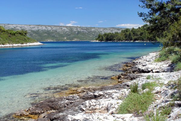 Mostir – Šćedro - photo 22