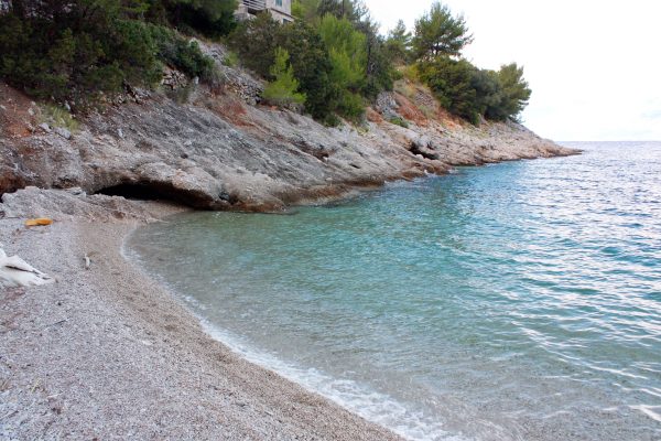 Stara - photo 10
