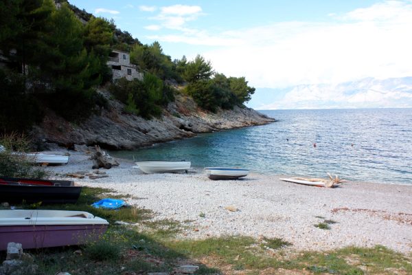 Stara - photo 14