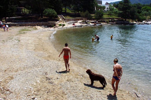 Stari Grad - photo 39