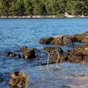 Stari Grad - photo 50