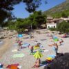 Feronija - photo 22