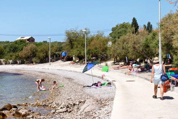 Česminica - photo 13