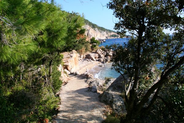 Skala - photo 19
