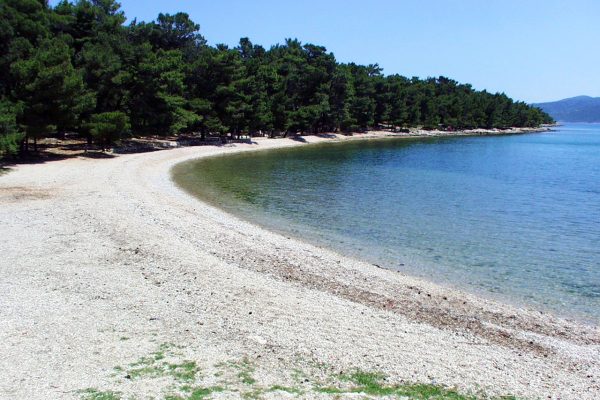 Soline - photo 12