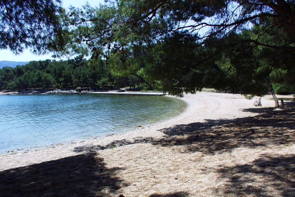 Soline - photo 13