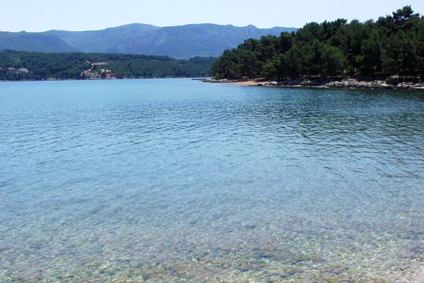 Soline - photo 14