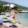 Molva - photo 17