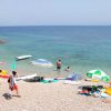 Molva - photo 18