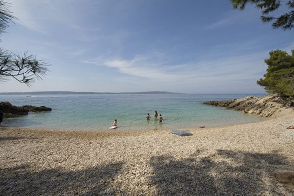Žutica - photo 2
