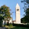 Baderna - photo 3