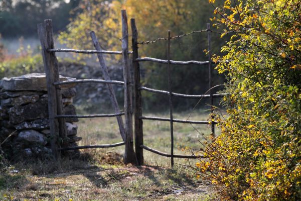 Bičići - photo 5