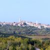 Buje - photo 1