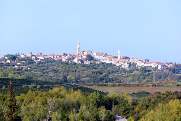 Buje - photo 1