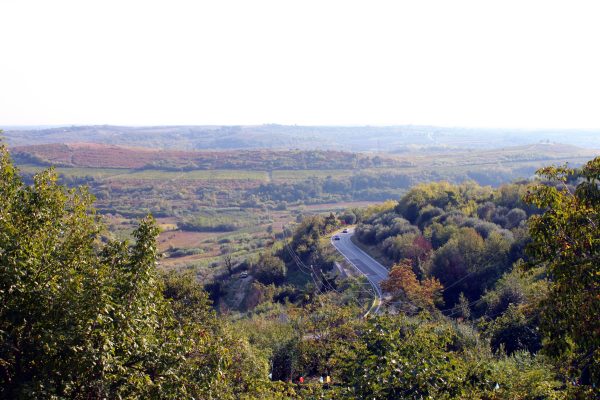 Buje - photo 12