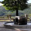 Buzet – Mala Huba - photo 10