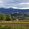 Buzet – Mala Huba - photo 11