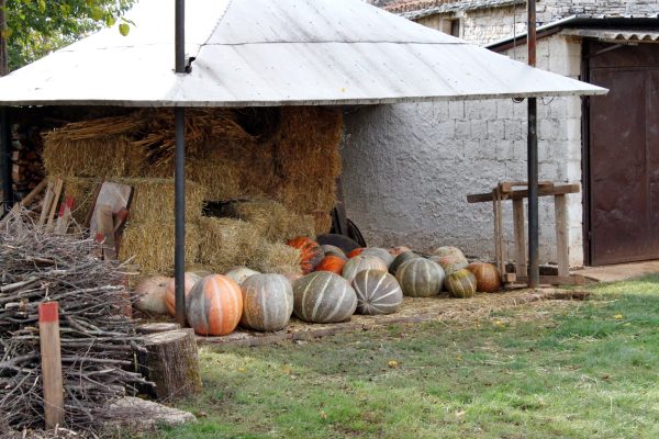 Celići - photo 3