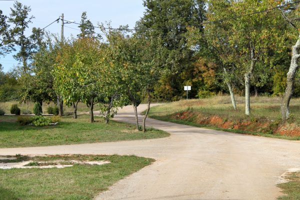 Celići - photo 4