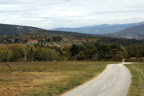 Čepić