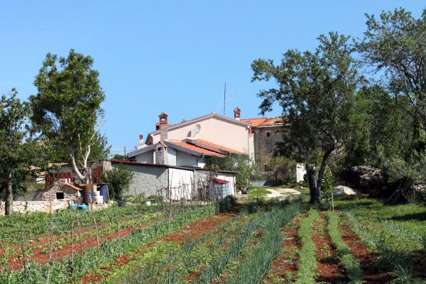 Cukrići - photo 6