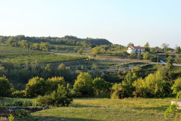 Gračišće - photo 3