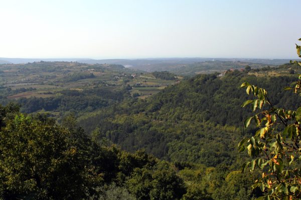 Grožnjan – Bijele Zemlje