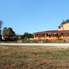Guran - photo 2