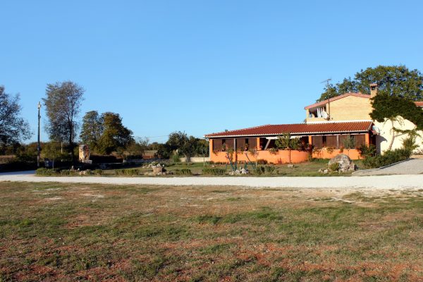 Guran - photo 2